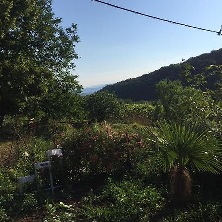 Salara Farmhouse Κόπερ Εξωτερικό φωτογραφία