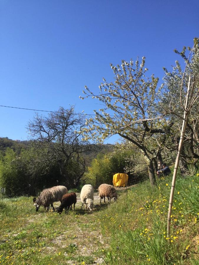 Salara Farmhouse Κόπερ Εξωτερικό φωτογραφία