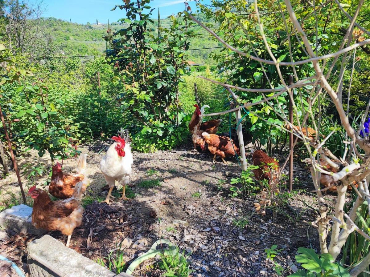 Salara Farmhouse Κόπερ Εξωτερικό φωτογραφία