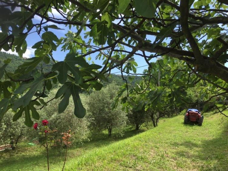 Salara Farmhouse Κόπερ Εξωτερικό φωτογραφία